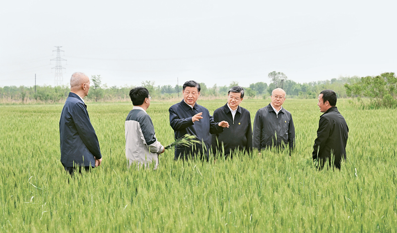 2023年5月11日至12日，中共中央總書記、國家主席、中央軍委主席習近平在河北考察，并主持召開深入推進京津冀協(xié)同發(fā)展座談會。這是11日上午，習近平在滄州市黃驊市舊城鎮(zhèn)仙莊片區(qū)旱堿地麥田考察時，同種植戶、農(nóng)技專家親切交流。 新華社記者 李學仁/攝